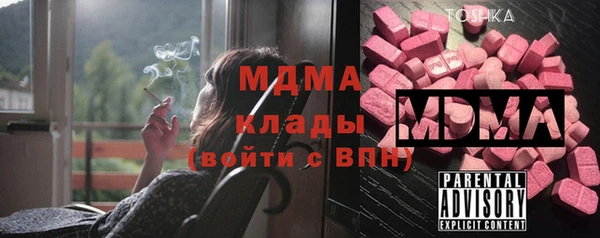 прущие грибы Елизово