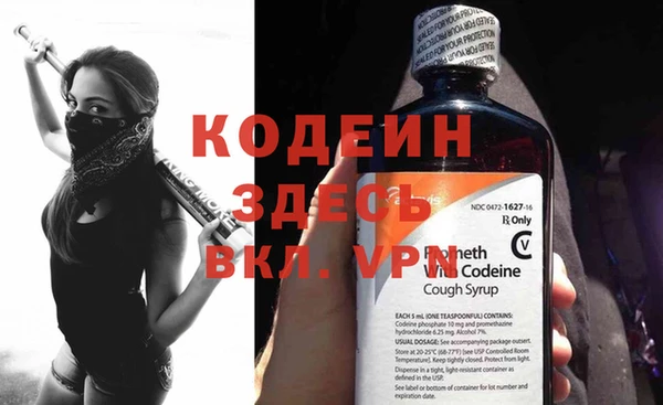 прущие грибы Елизово