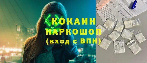 прущие грибы Елизово