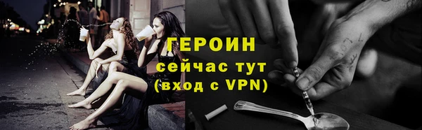 прущие грибы Елизово