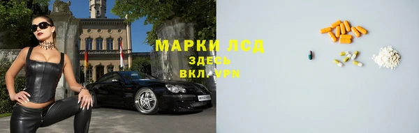 прущие грибы Елизово