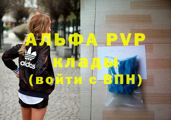 прущие грибы Елизово