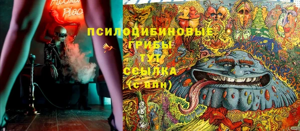 прущие грибы Елизово