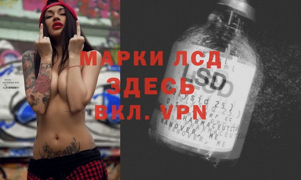 мяу мяу мука Новозыбков