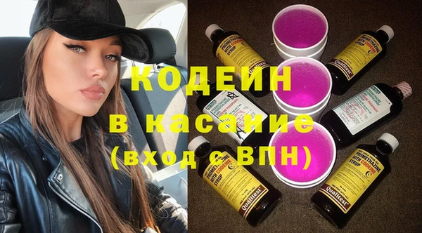 прущие грибы Елизово